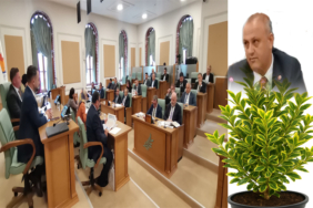 Adem Uluocaknayimus Japonikos Bravo