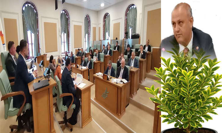 Zeytinburnu Meclisi’nde “Enayimus Japonikos Bravo” Bitkisi Gündem Oldu