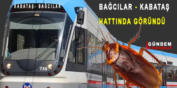 Kabataş-Bağcılar Tramvayında Böcek Şoku!