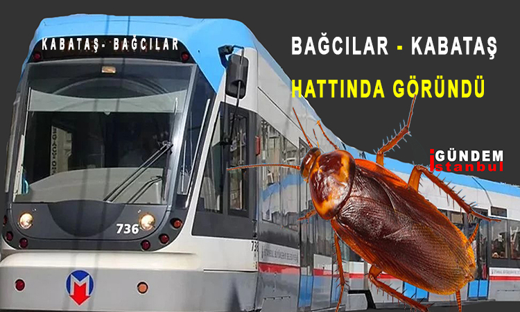 Kabataş-Bağcılar Tramvayında Böcek Şoku!