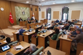 Zeytinburnu meclis 1 Haziran (9)